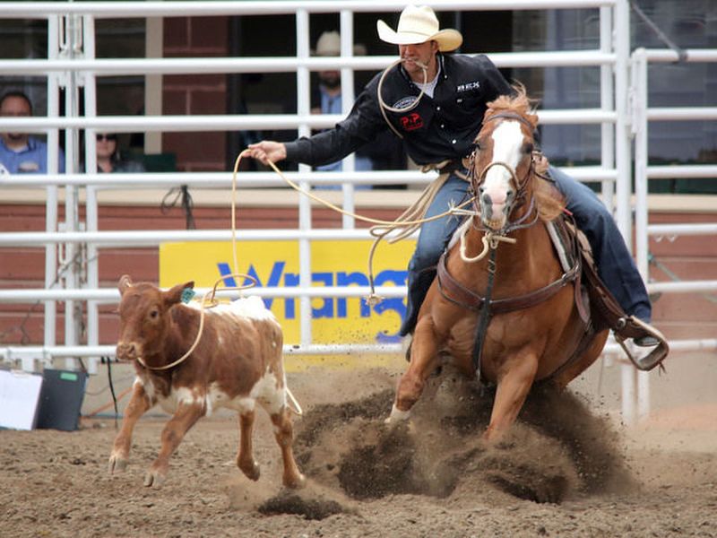calgary_stampede_rodeo_02