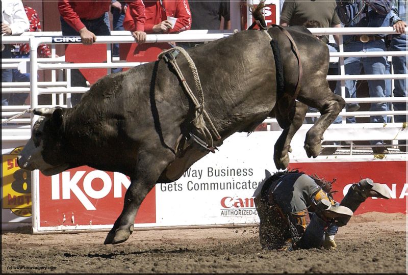 calgary_stampede_rodeo_03