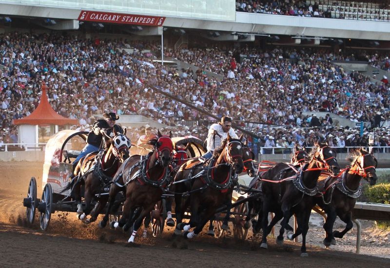 calgary_stampede_rodeo_05
