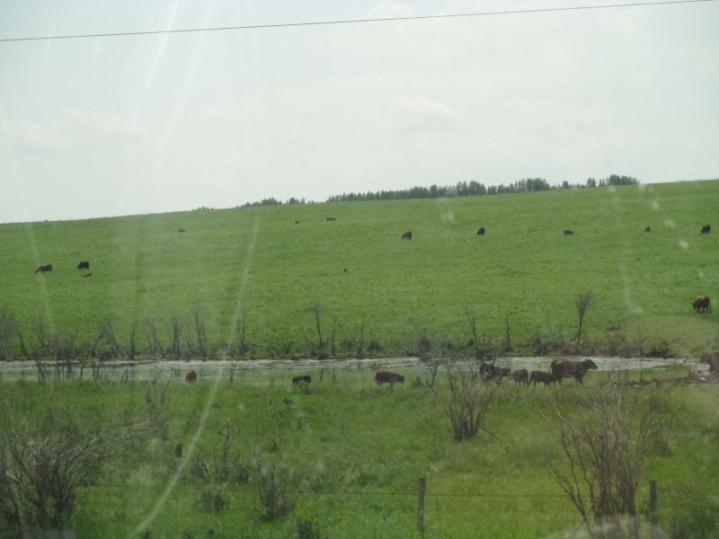 img_1385a.jpg