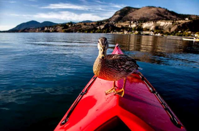 penticton_british_columbia_03